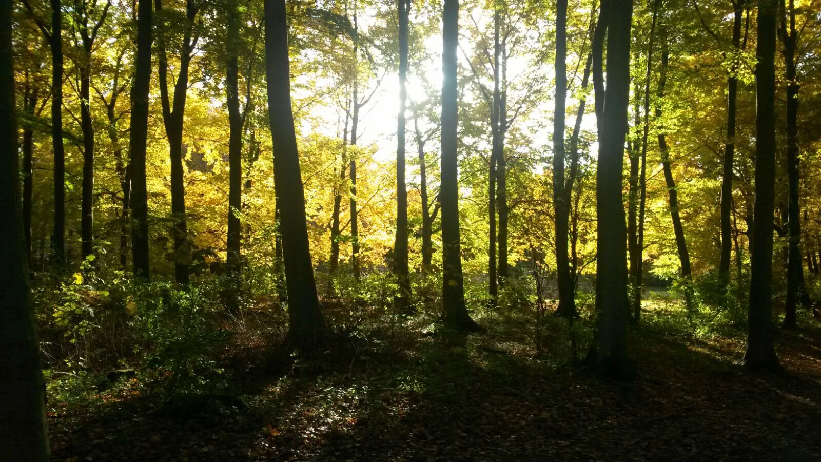 Story of a sister: Rustig aan dan breekt het lijntje niet...