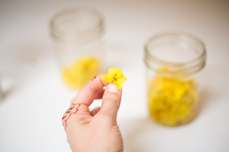 Hawks and honey Palo Verde Flower Essence.