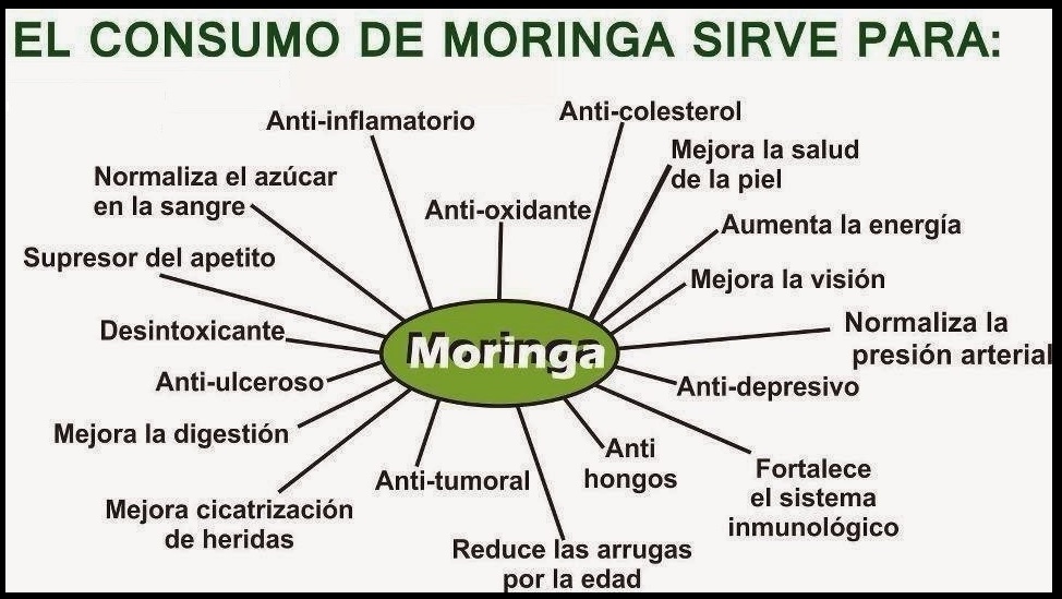 USOS MEDICINALES DE LA MORINGA EBOOK USOS MEDICINALES DE LA MORINGA EBOOK