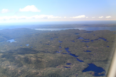 View of Princess Royal Island Looking West from the Helijet