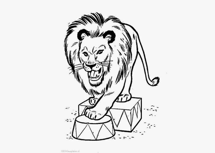 Circus lion coloring pages | Free Coloring Pages and Coloring Books for Kids