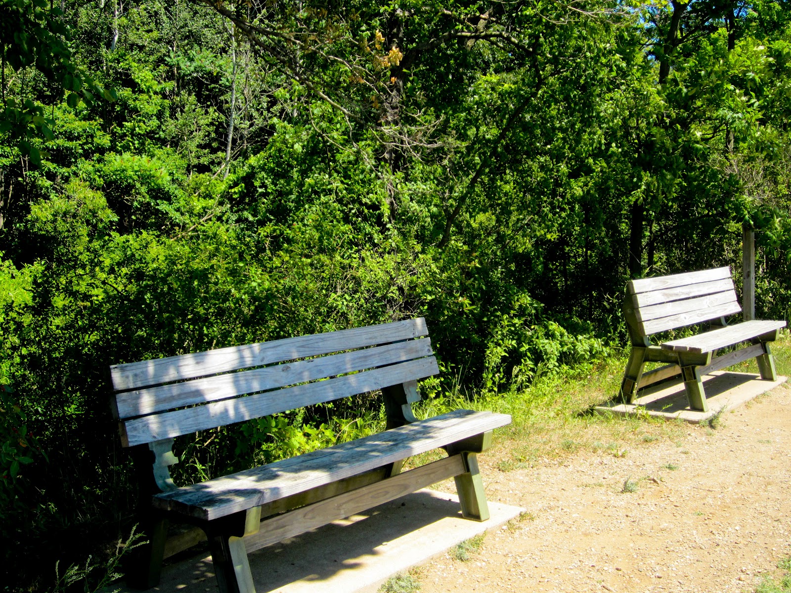 Trail and Park Reviews Baw Beese Walking Trail, Hillsdale Michigan