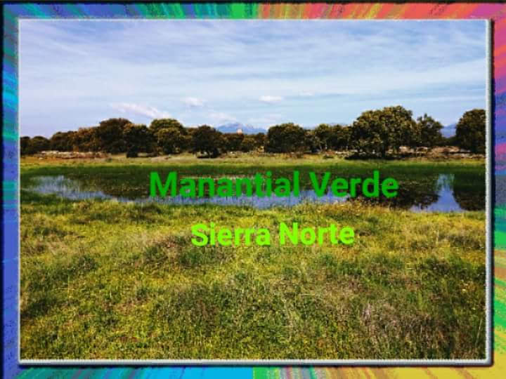 Manantial Verde Sierra Norte