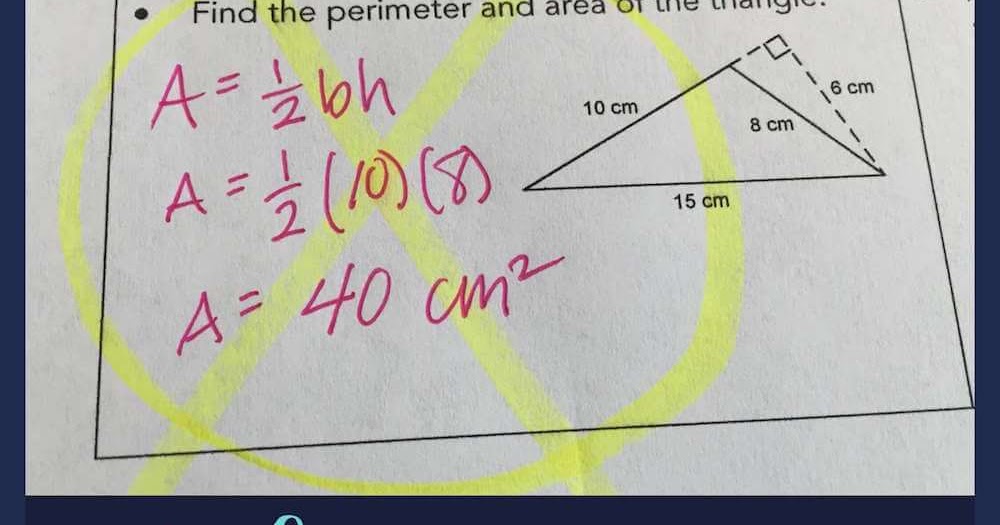 Book study mondays: what�s your math problem? chapter 2 Math Misconceptions: Base and Height of Triangles | Mrs. E Teaches Math