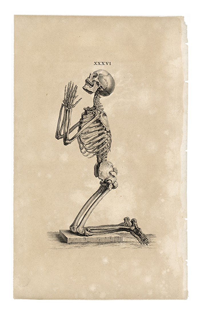 Book review essay sample for dancing skeletons picture