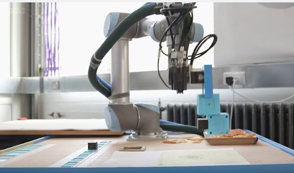 Mother Robot