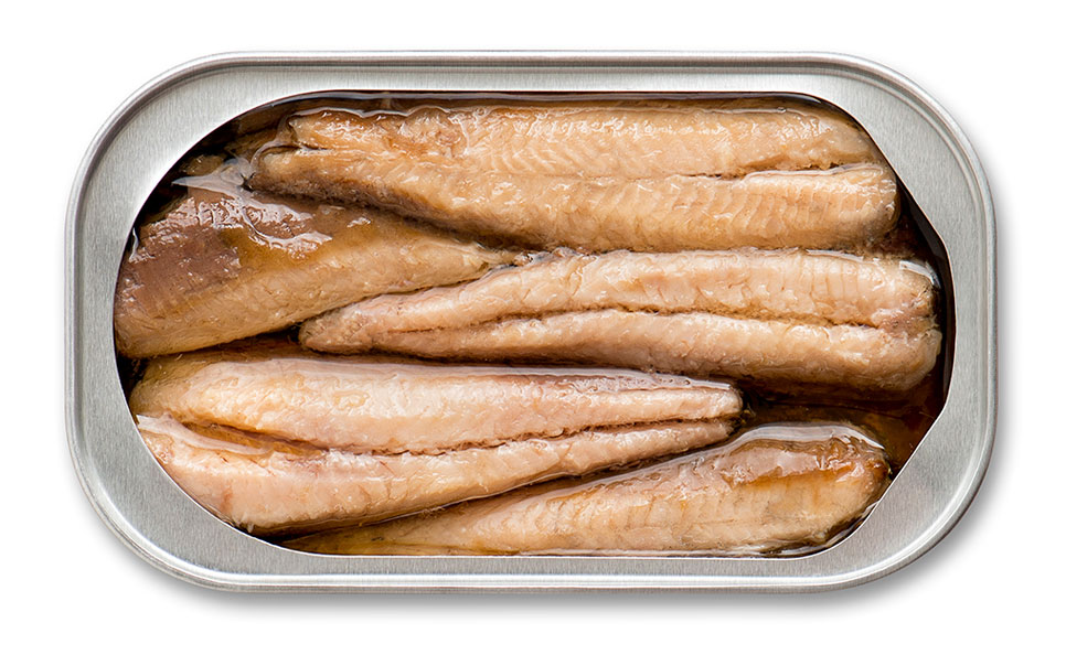 Sardine Fish Indonesia and Reasons of Why You Need to Eat It