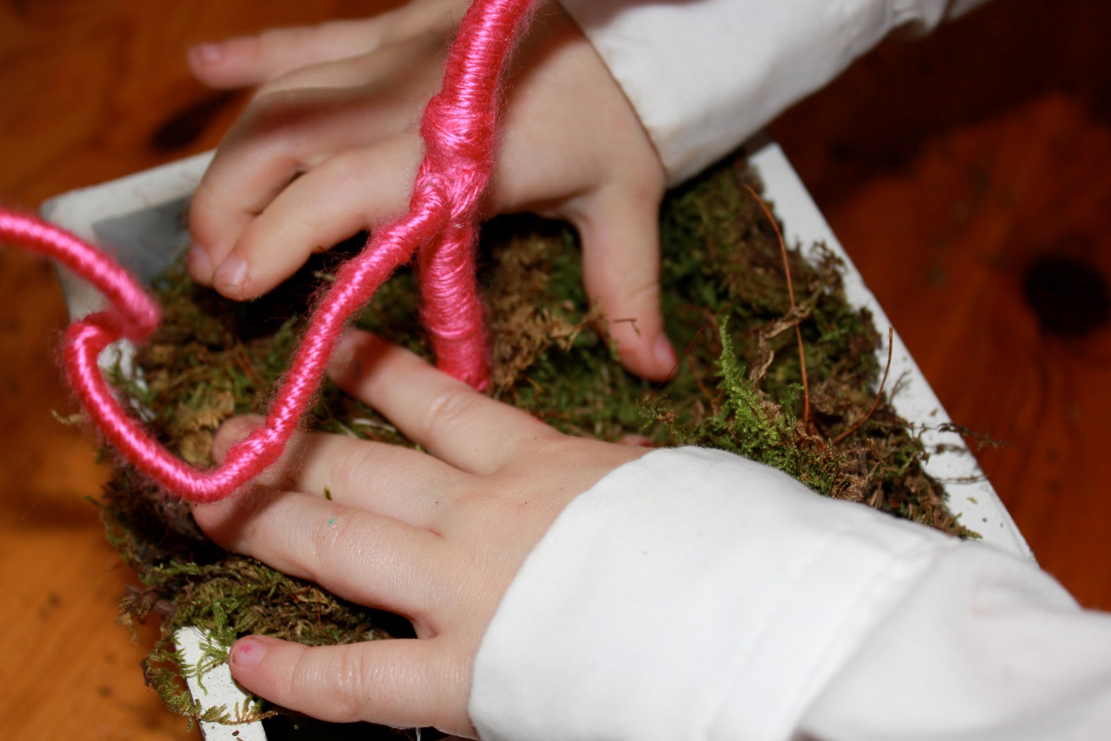 Petals In Prose Crafty! The twisted Walking Stick a Love Tree