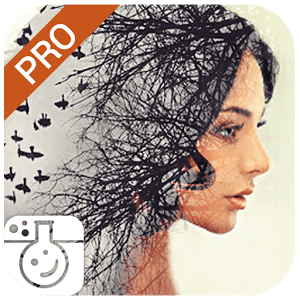Photo Lab PRO Photo Editor! 2.1.12.447 Patched APK Photo Lab PRO Photo Editor! 2.1.12.447 Patched APK