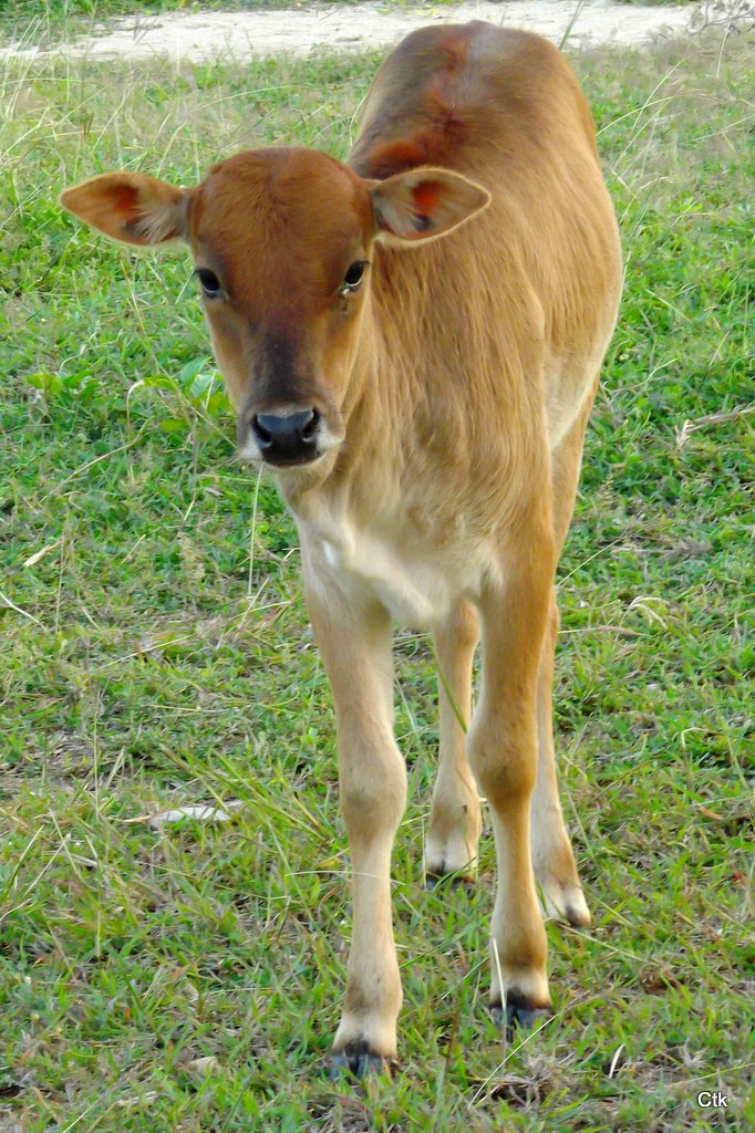 DSCF2936.JPG