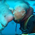 The Unlikely 25-Year Friendship Between a Human Diver and a Fish