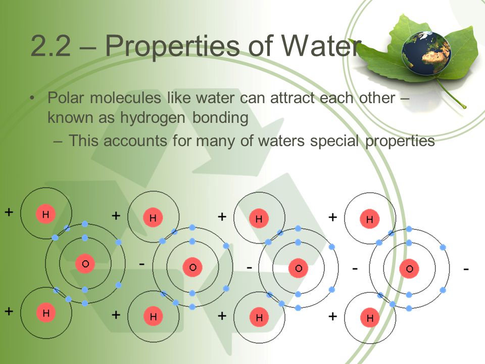 Biology Biological molecules Water