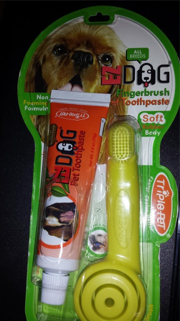 Top 10 Best Toothbrushes For Dogs mostaret