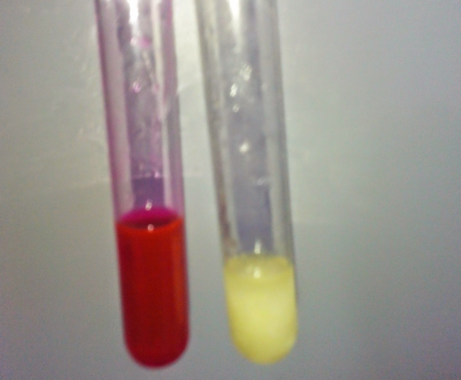 ADULTERATION मिलावट देशी घी और मक्खन में मिलावट की जांच (टेस्टिंग