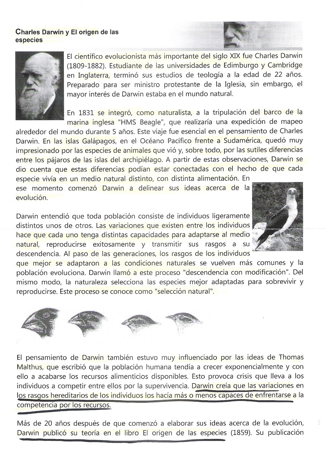 Copia de Ensayo el Origen de Las Especies de Biologia El origen de las especies de Charles