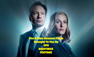 The Real life X Files.