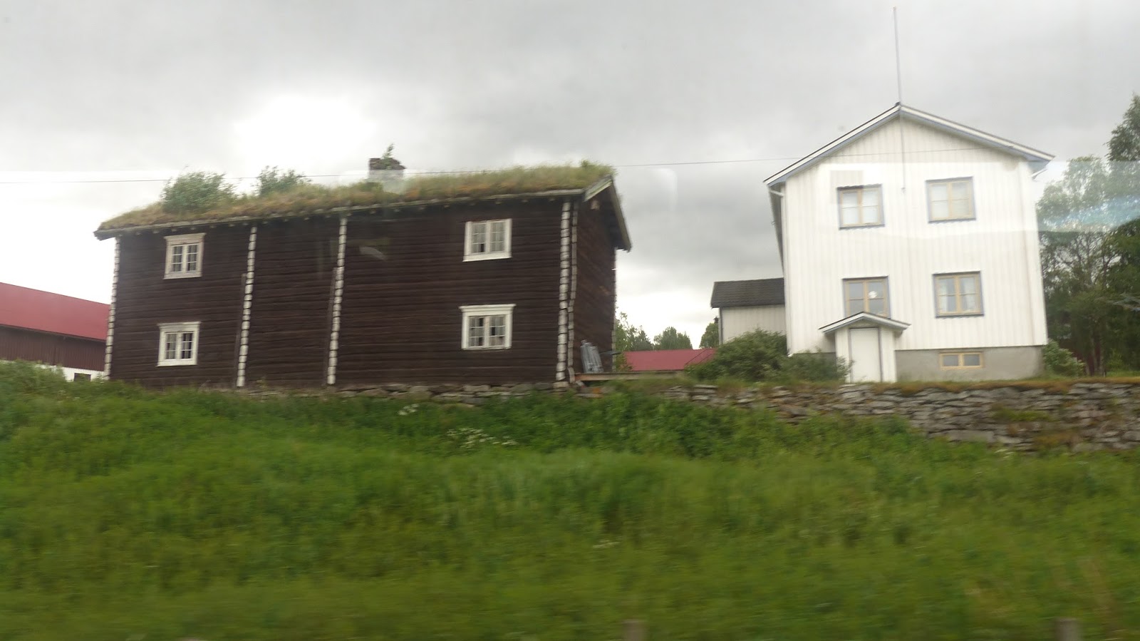 DIA 10º:  MIERCOLES 08/07: VUELOS HONINGSVAG-BODO - Mi viaje a Cabo norte en el Ms Lofoten (10)