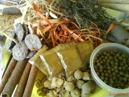  cara  membuat  ramuan obat  tradisional dari  berbagai 