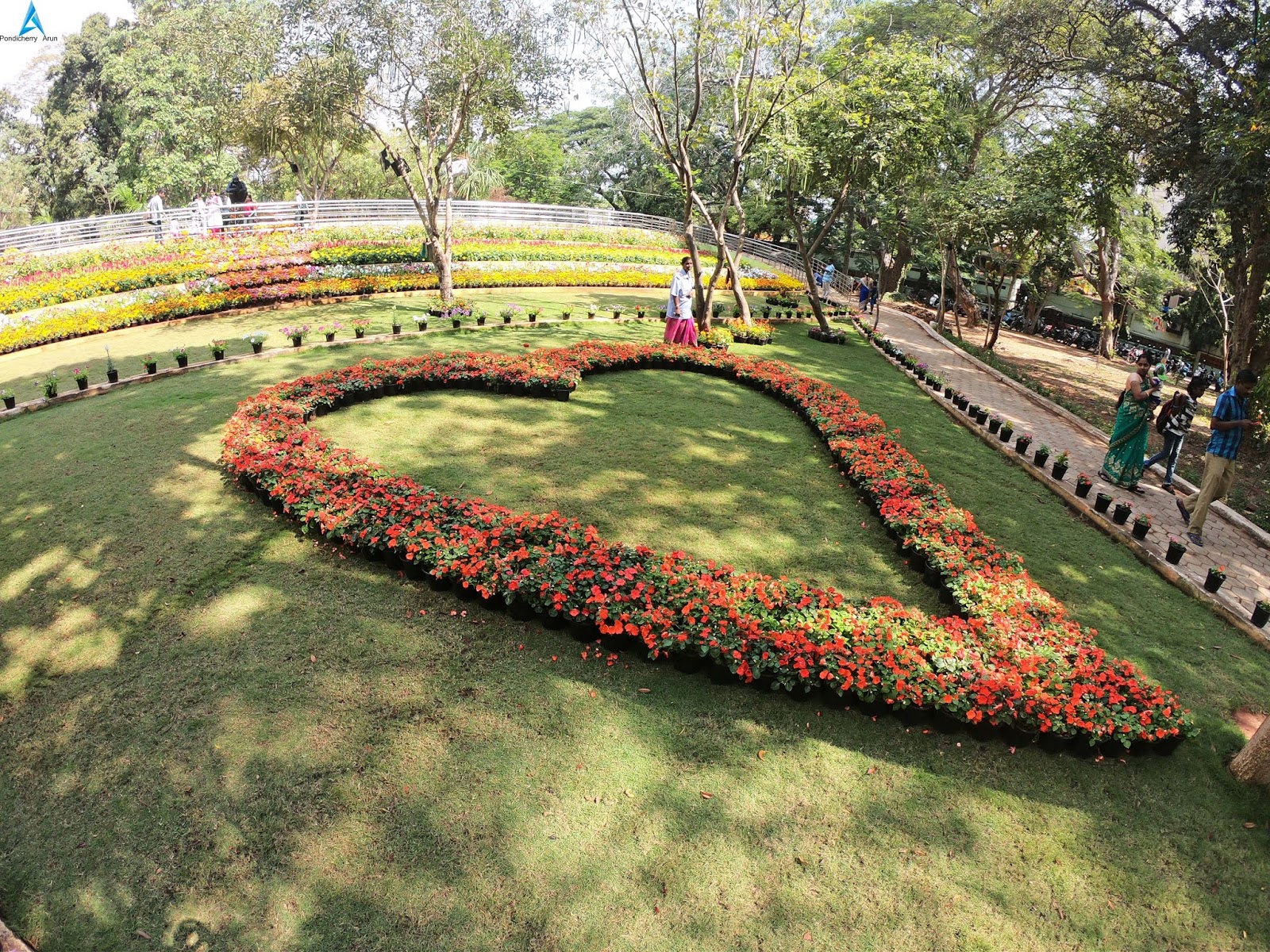 Pondicherry Botanical Garden Flower show (Farmers Festival) 16.02.2019