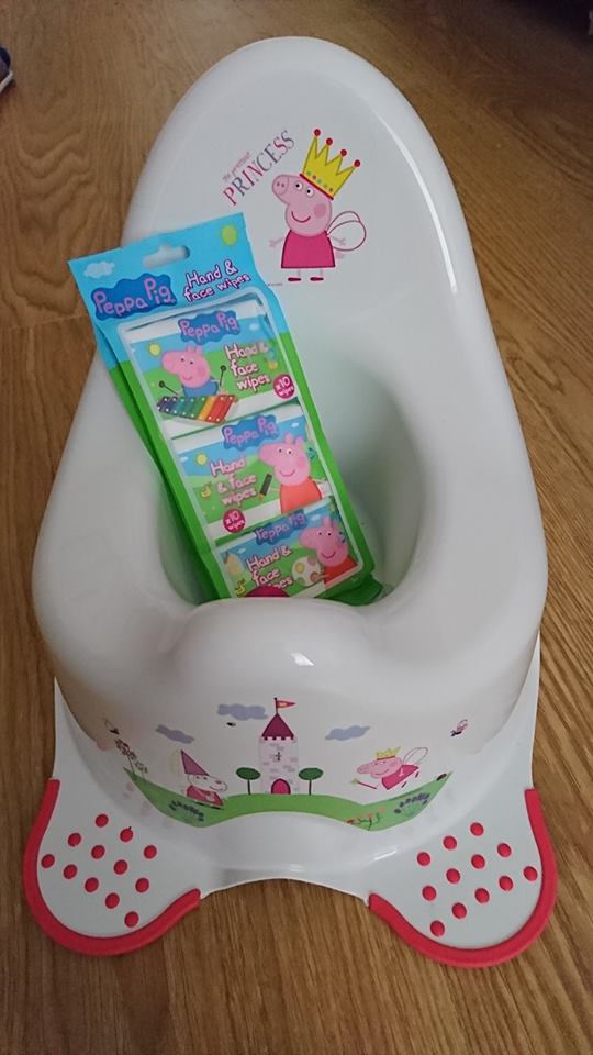 How Peppa Pig Helped Us with Potty Training Mum of a Premature Baby