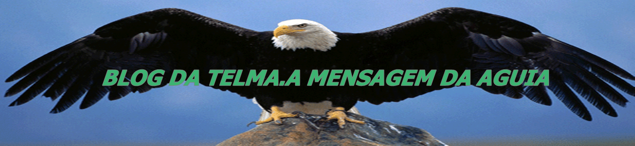 blog da telma a mensagem da aguia