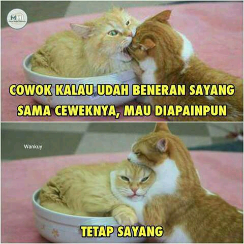 Image Result For Kata Kata Bijak Kecewa Tidak Dihargai Image Result For Kata Kata Bijak Kecewa Tidak Dihargai