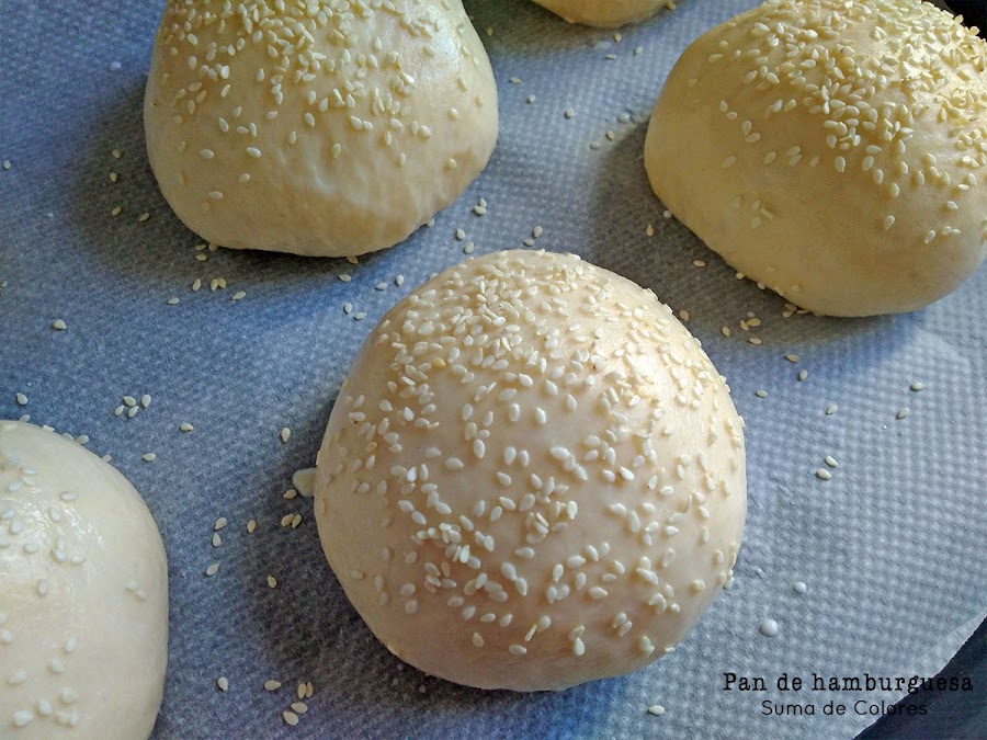 pan-hamburguesa-fermentacion2