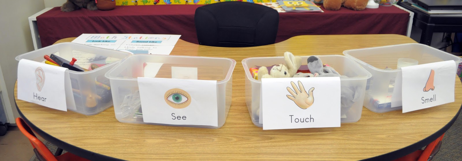 Mrs. Ricca's Kindergarten Science & Five Senses