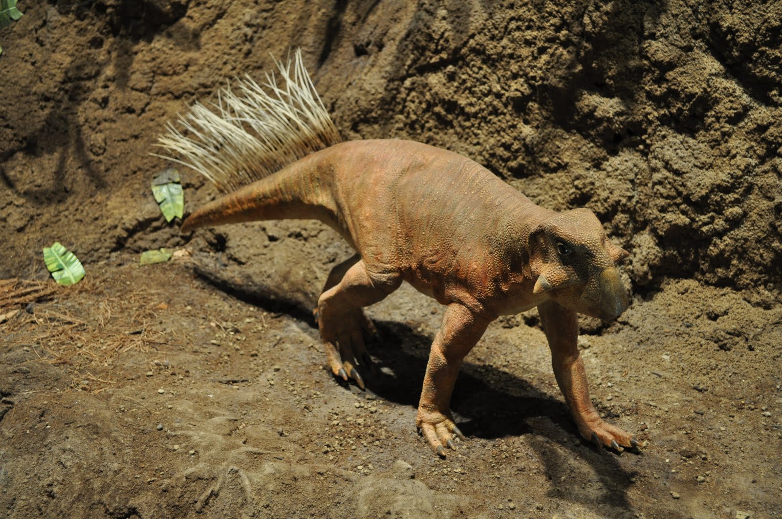 На какой территории жили динозавры