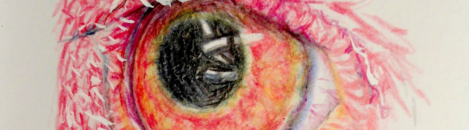 Bloowabbit Drawing Process For Doodle Eye Challenge Dog