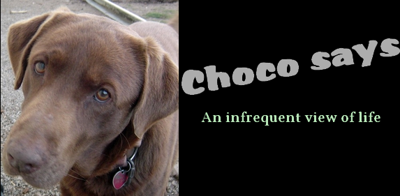 Choco says