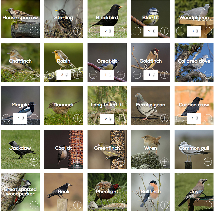 Wild and Wonderful RSPB Big Garden Birdwatch 2017