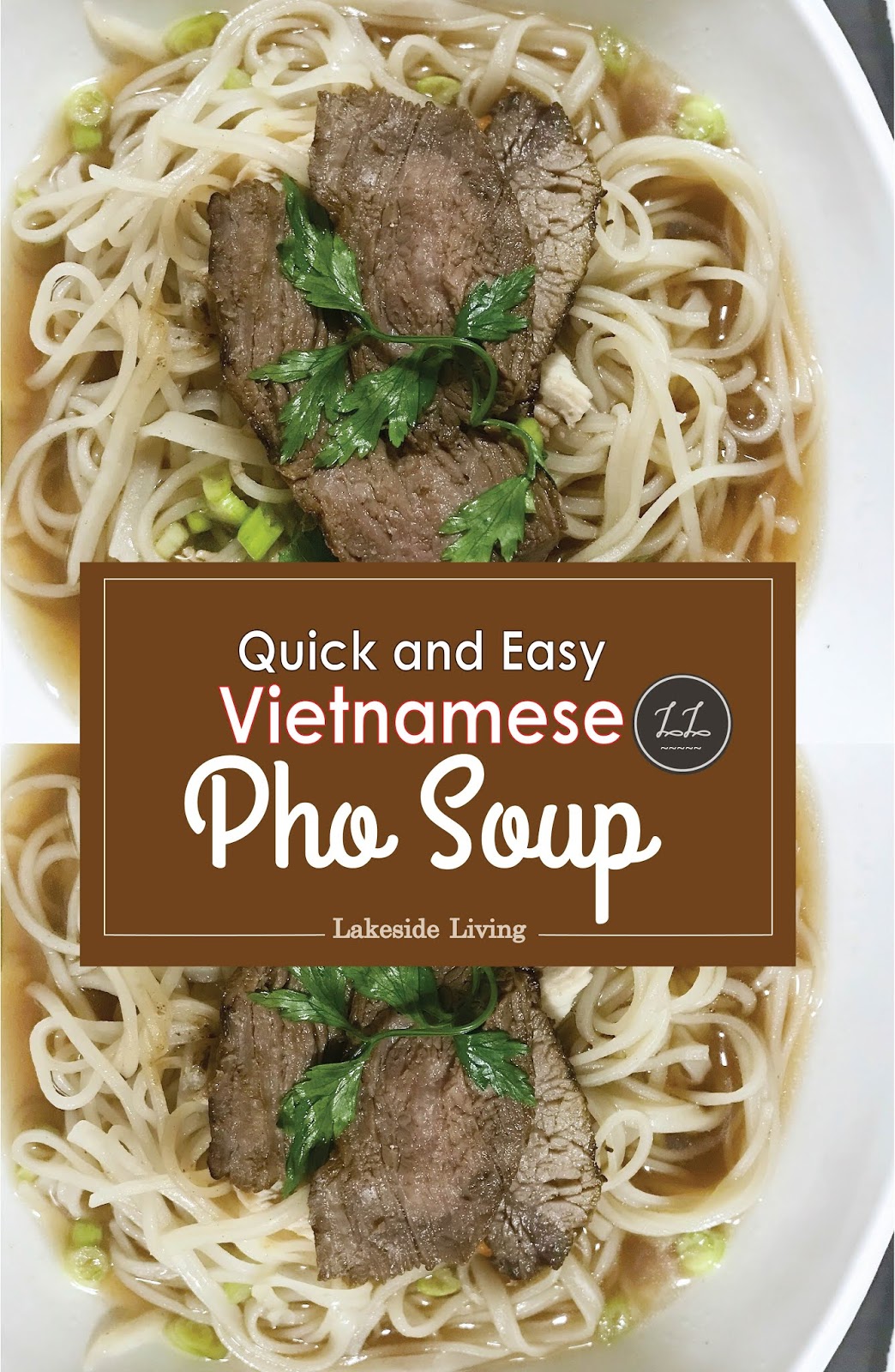 Authentic Vietnamese Pho 'Beef' Noodle Soup