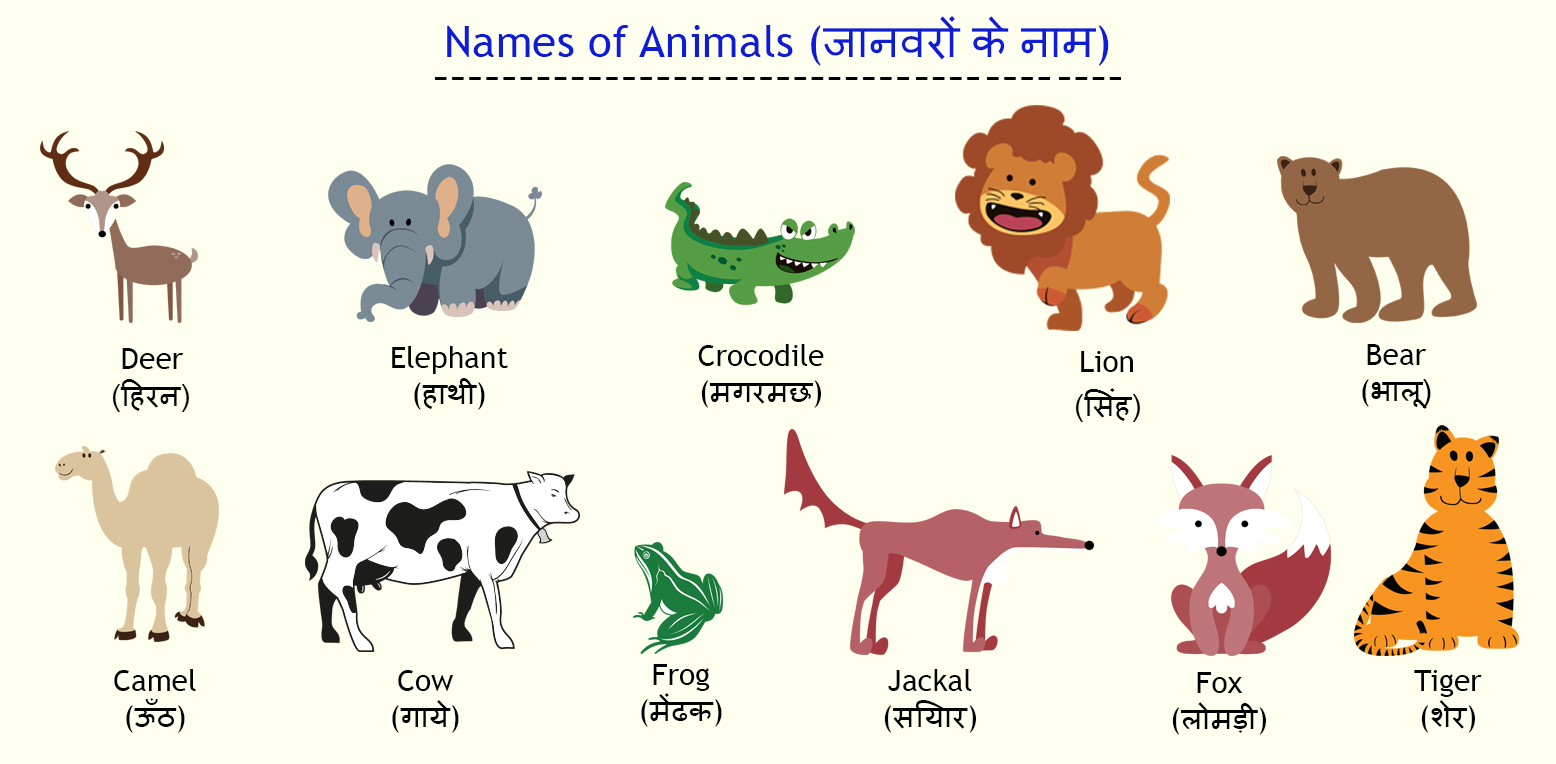 Животные на хинди