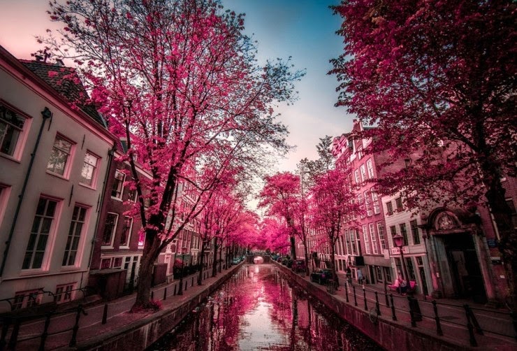 10. Amsterdam, The Netherlands - Top 10 Blooming Cities in Spring
