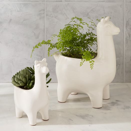 ceramic llama planters c