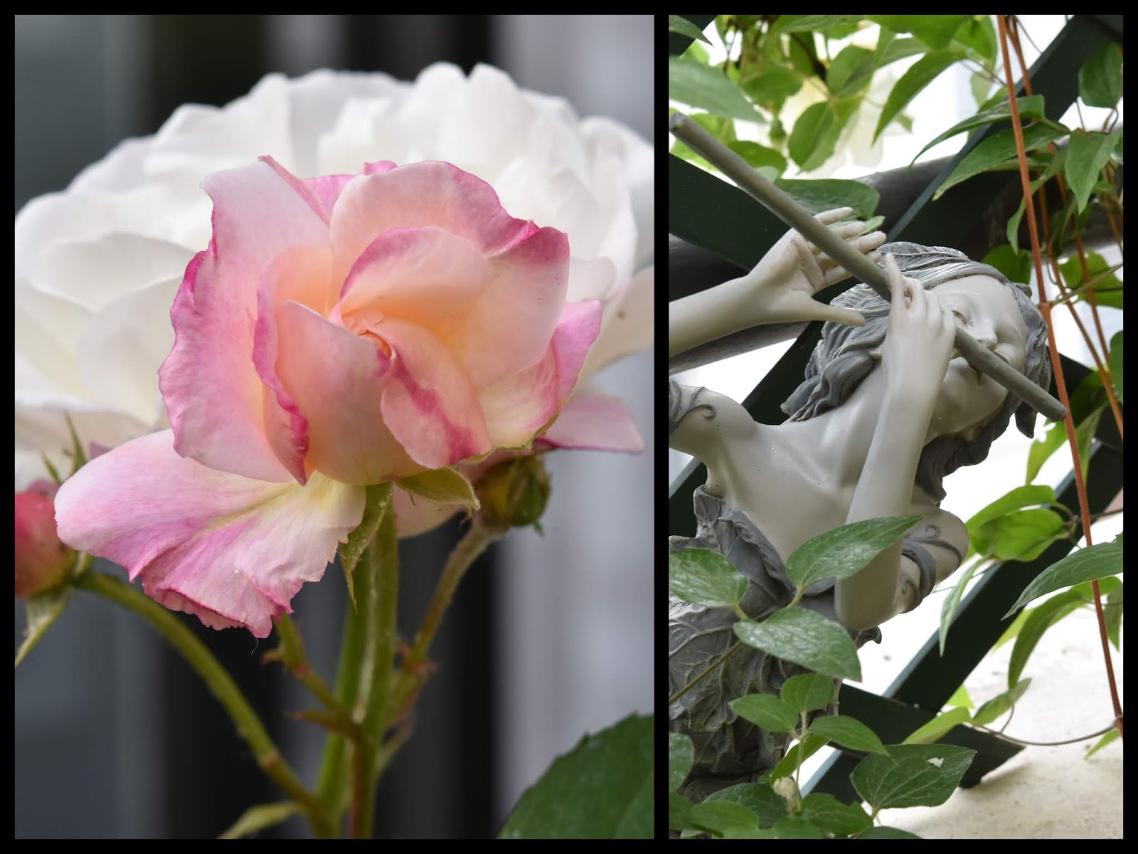 Scandimagdeco Le Blog Diy Customiser Vos Plantes Avec Ces Jolis