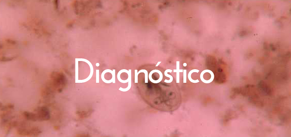 Giardia duodenalis diagnostico