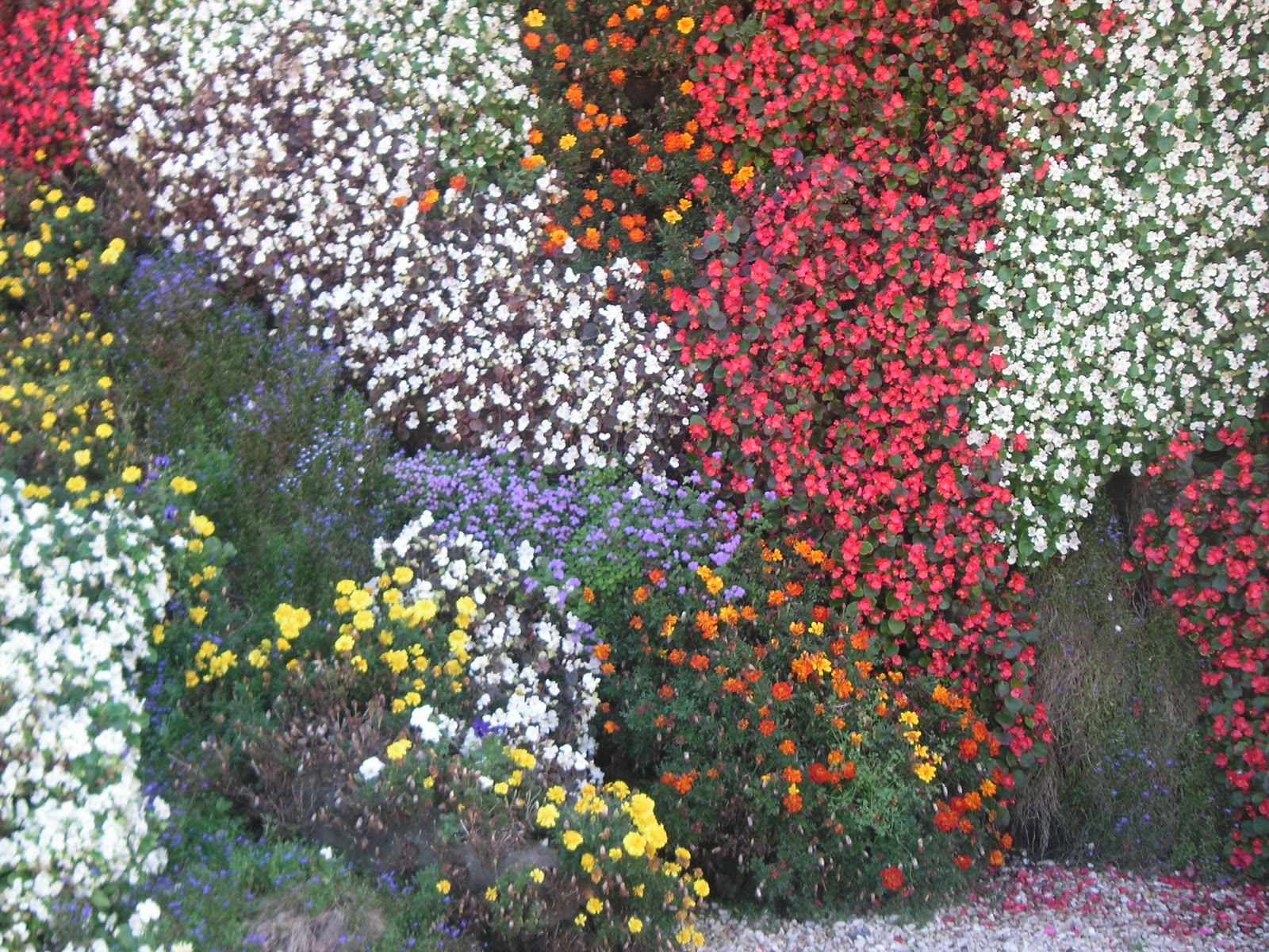 La casa de los Martínez: septiembre 2011