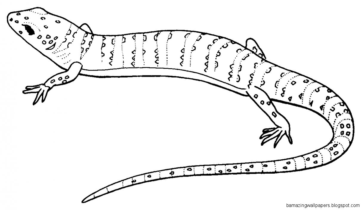 Lizard Coloring Pages 9