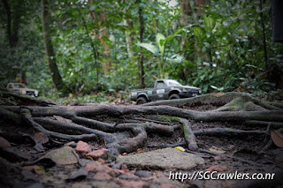 [PHOTOS] 20160424 - Rifle Range Road - Durian Loop Trail Photos DSC02773