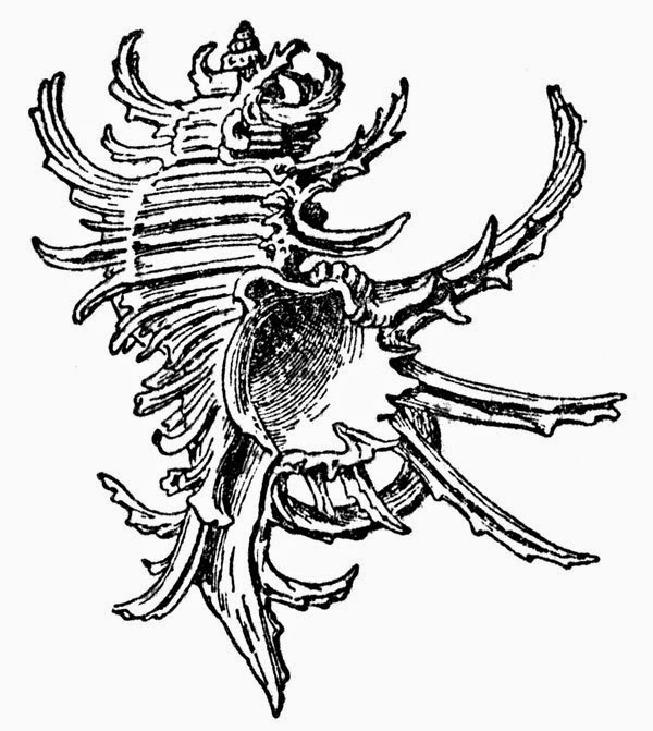 Vector Clip Art - Free Clip Art Images: 0-Animals