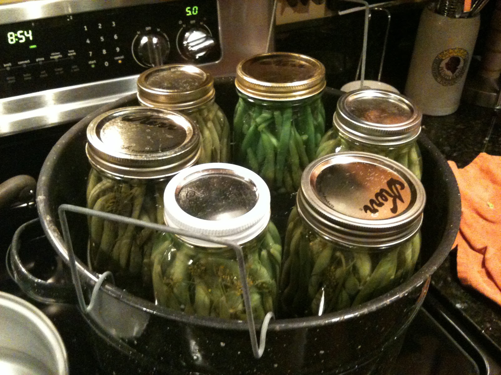 In The Garden with Claire Spicy Hot Dilly Beans