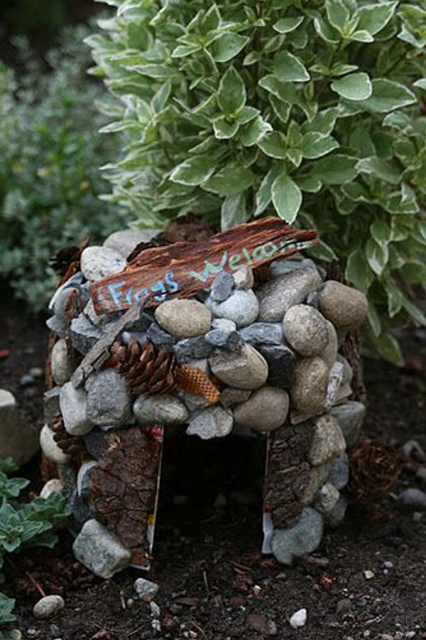 DIY Home Sweet Home 8 Ways To Attract Toads To Your Garden