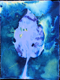 Wet cyanotype_Sue Reno_Image 444