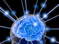 Tips Cara Menjaga Kesehatan Otak Terbukti Ampuh, Yang Kerjanya Pake Otak Wajib Baca..!!
