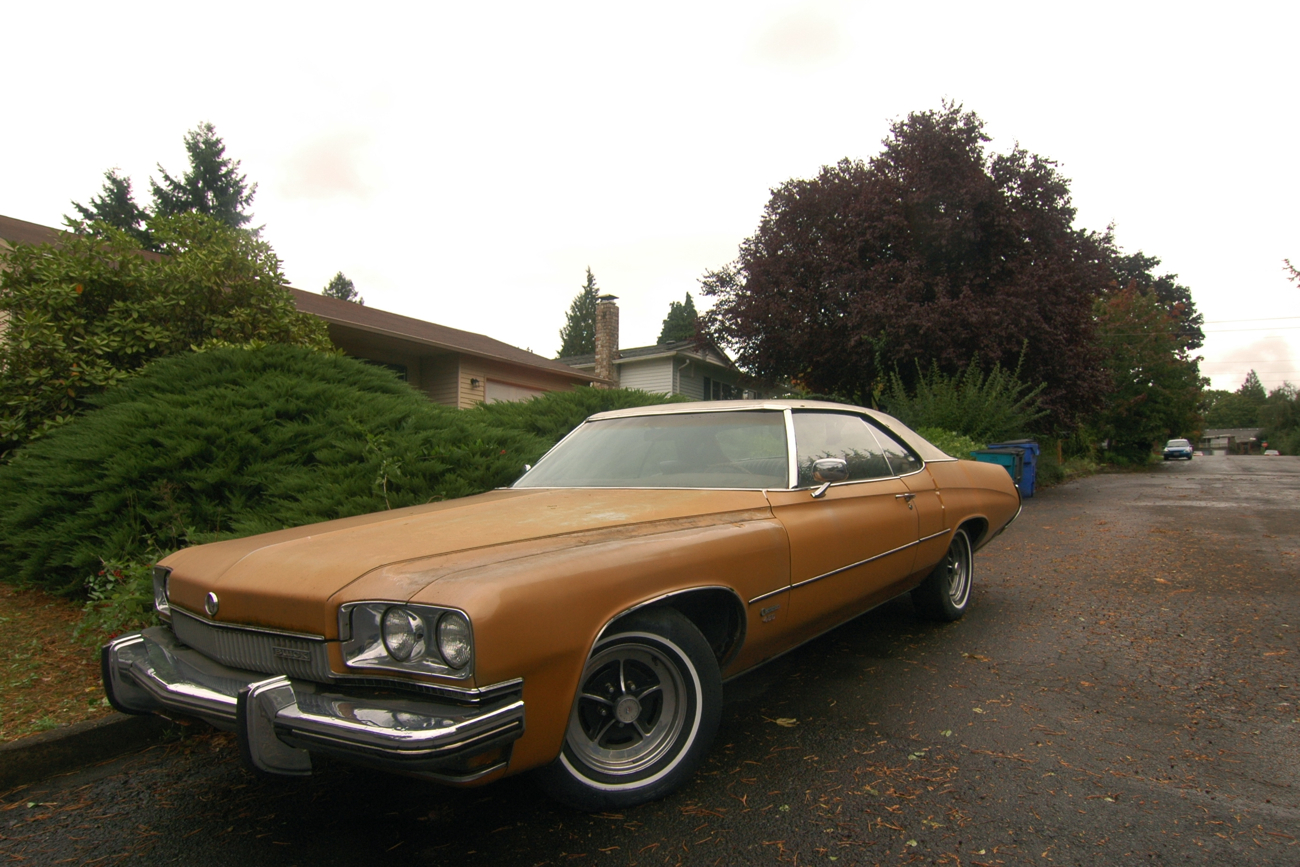 Buick 1973