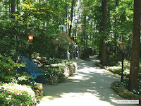 Paved pathways for easy walking