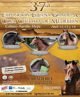 TIRO AL BLANCO N° 198 10