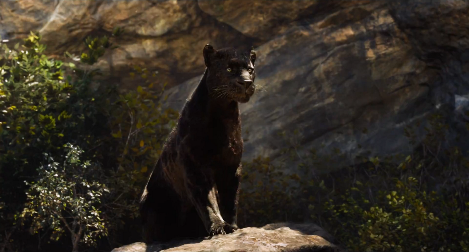 маугли фильм 2016. пантера из книги джунглей 6 букв. багира книга джунглей дисней. книга джунглей фильм 2016 маугли. маугли пантера багира.